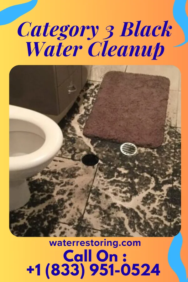 Category 3 Black Water Cleanup in Pioneer, IA