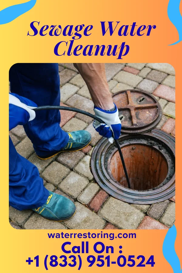Sewage Water Cleanup in Pioneer, IA