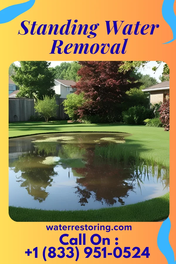 Standing Water Removal in Pioneer, IA